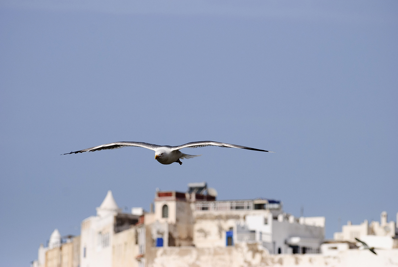 Essaouira