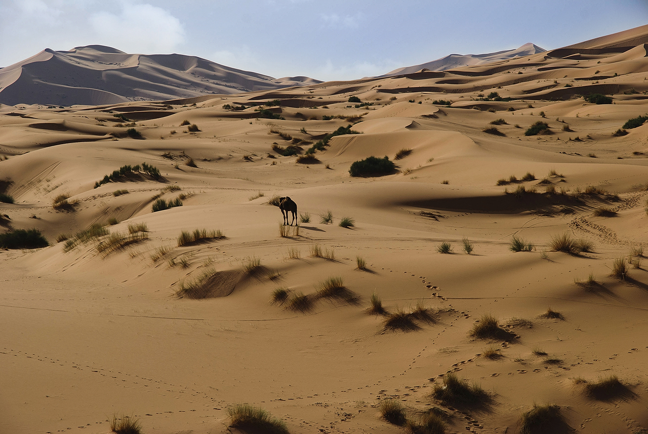 Merzouga