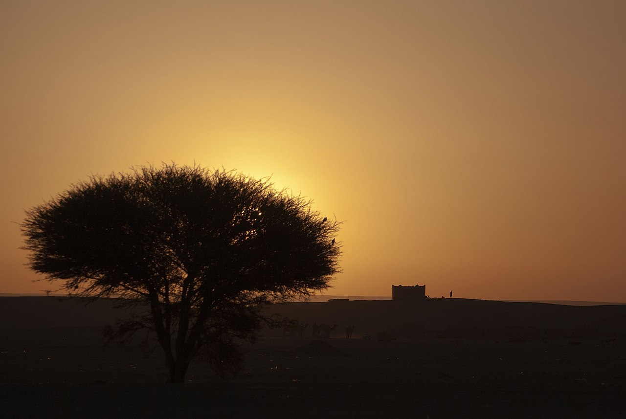 Merzouga