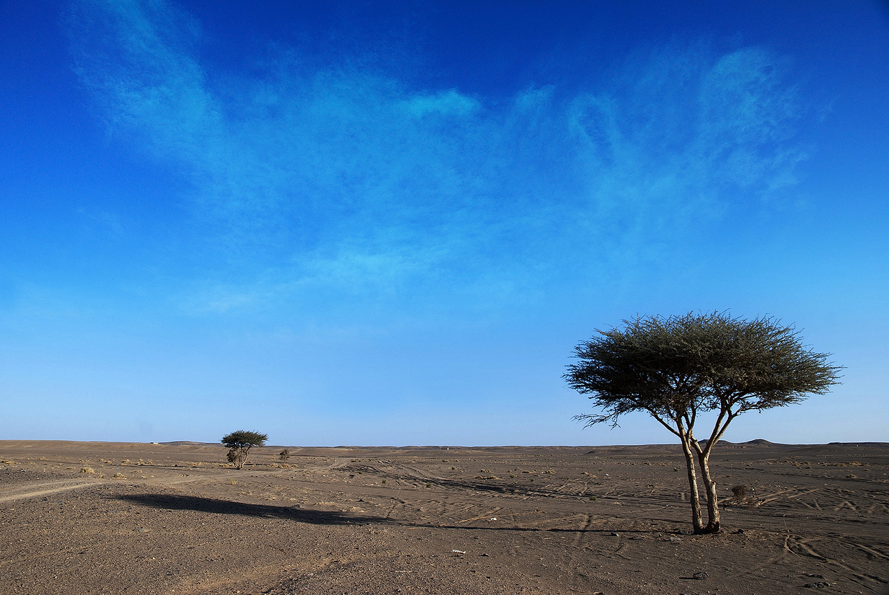 Merzouga