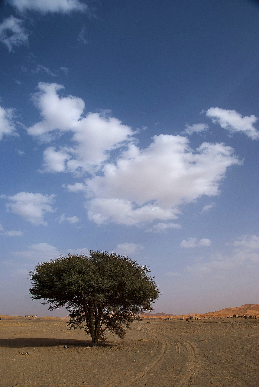 Merzouga