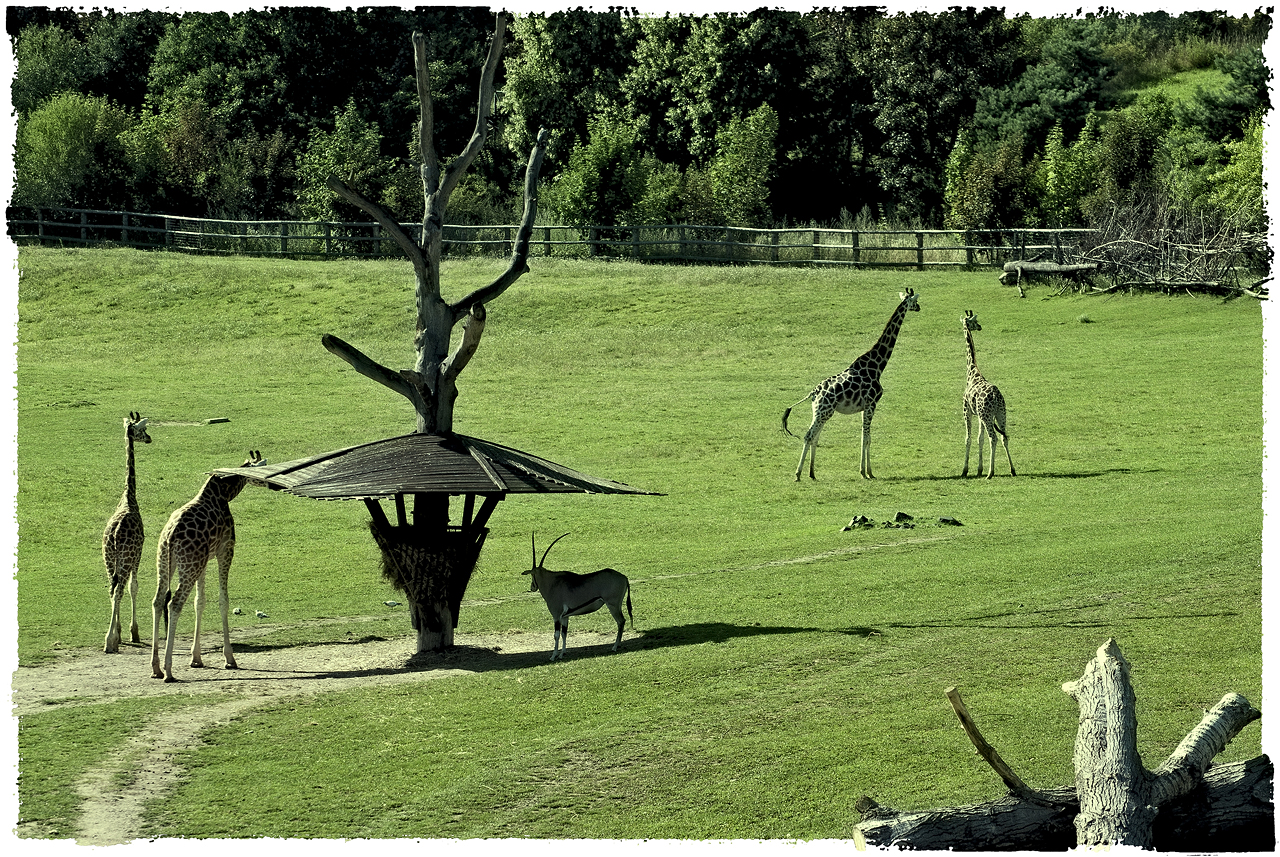 ZOO Praha