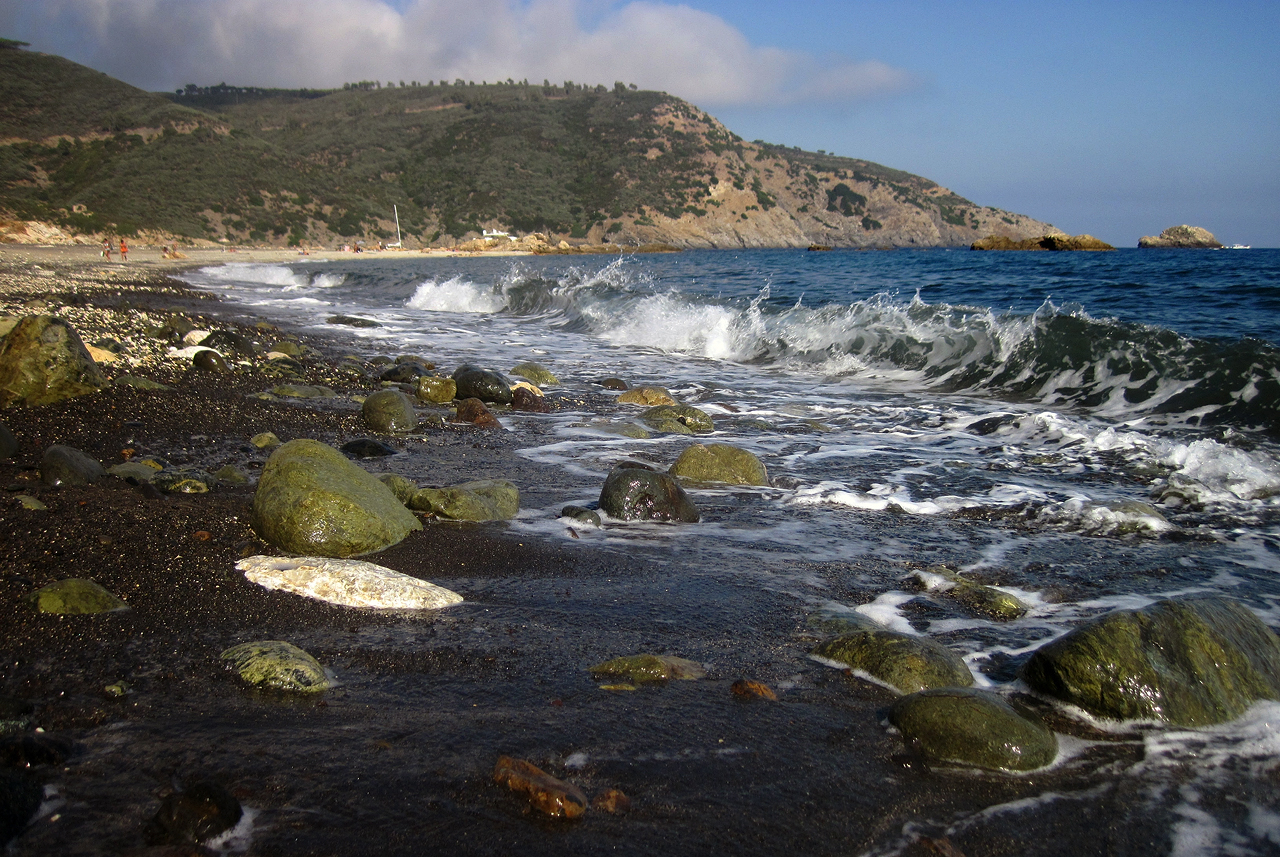 Elba 2011