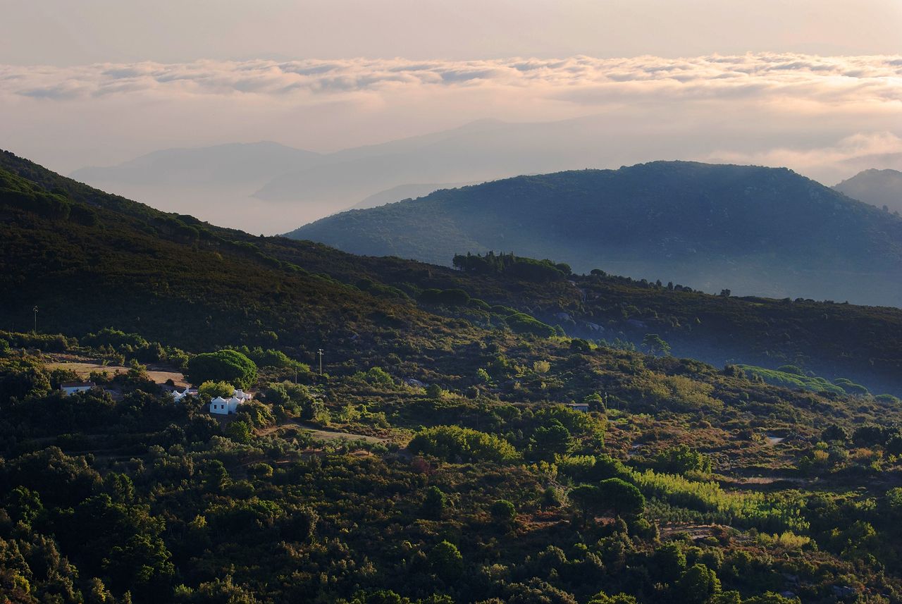 Elba 2011