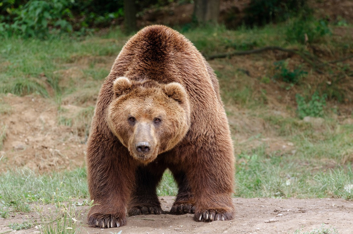 Zoo Brno