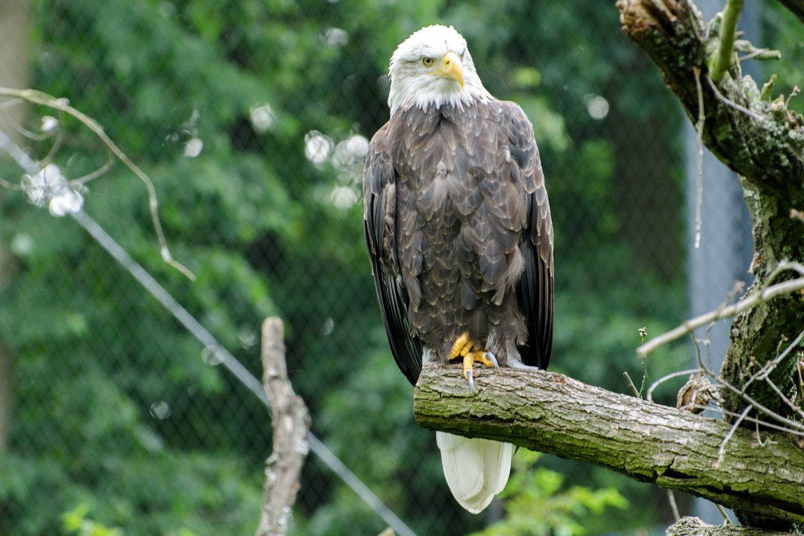 Zoo Brno