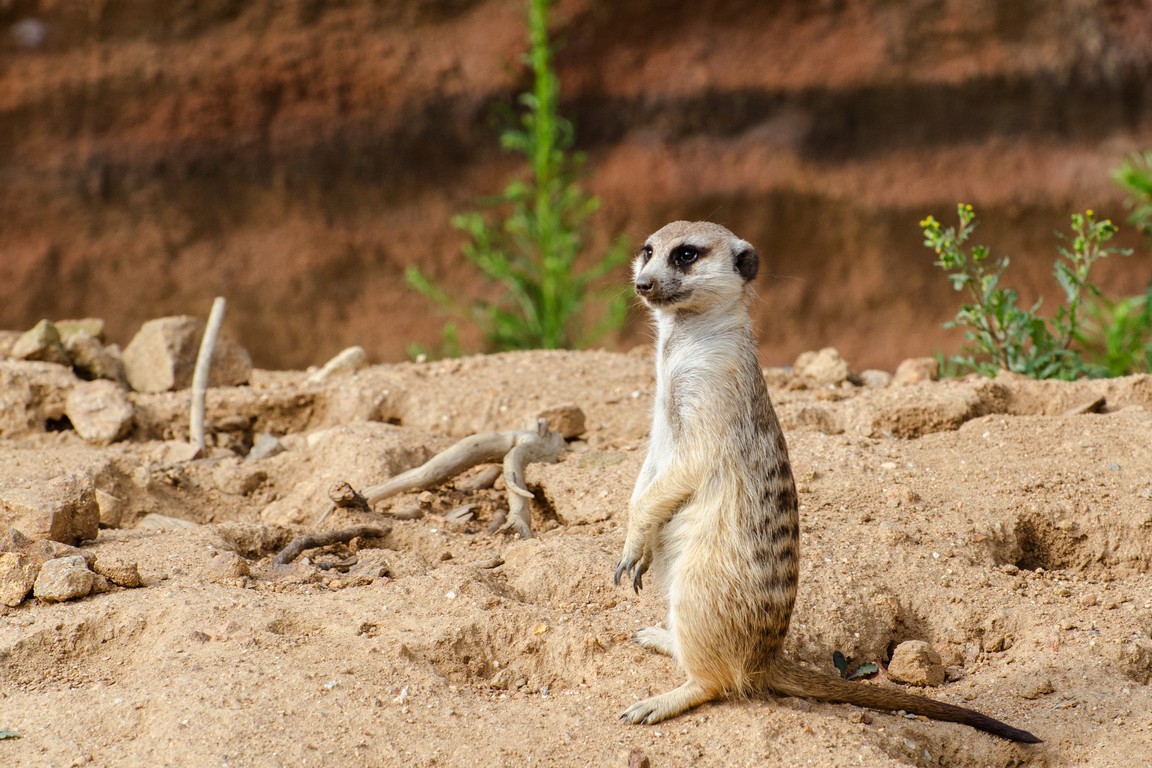 Zoo Jihlava