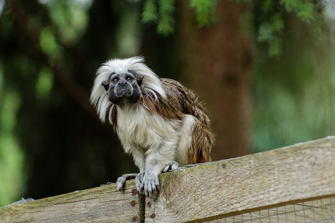 Zoo Jihlava