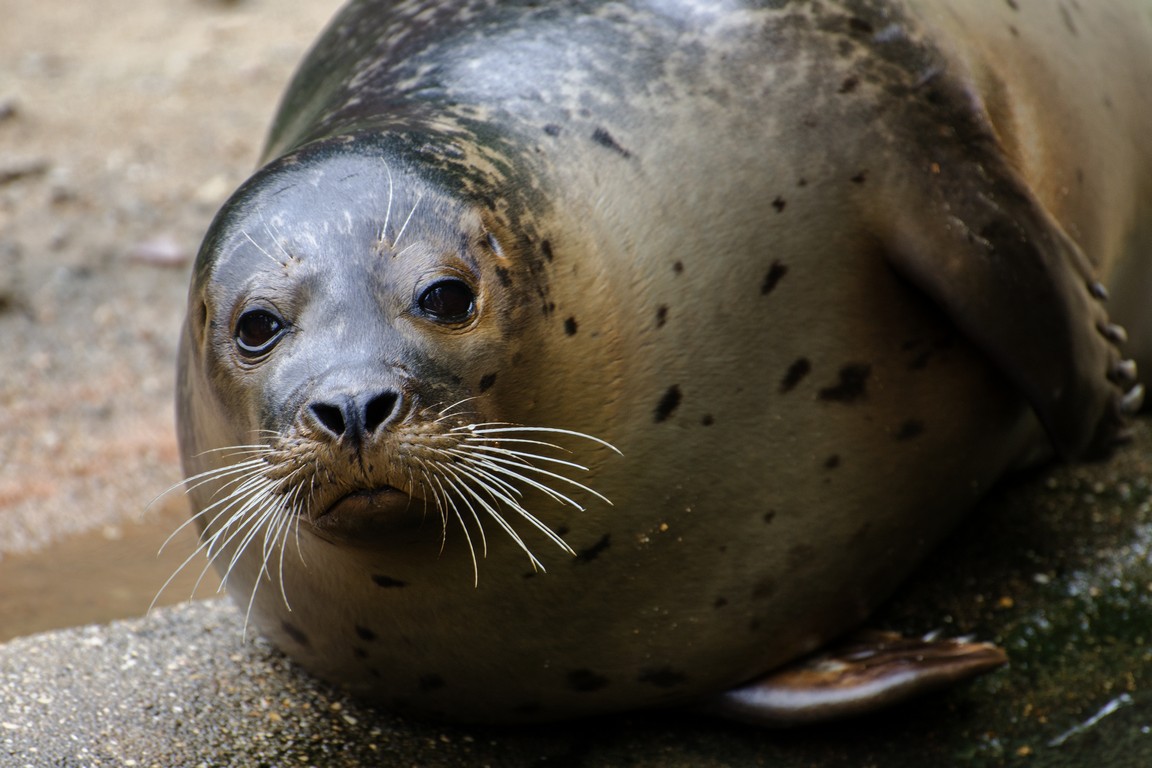 Zoo Jihlava