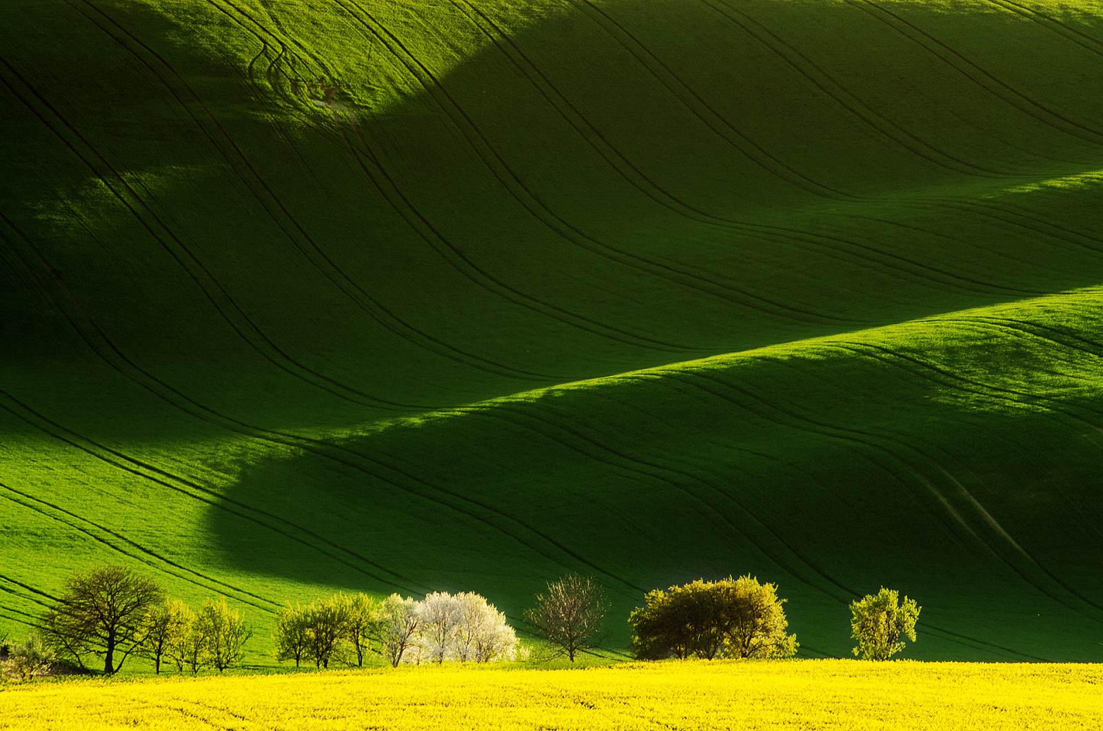 moravské Toskánsko